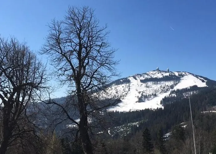 Schachten Hotel